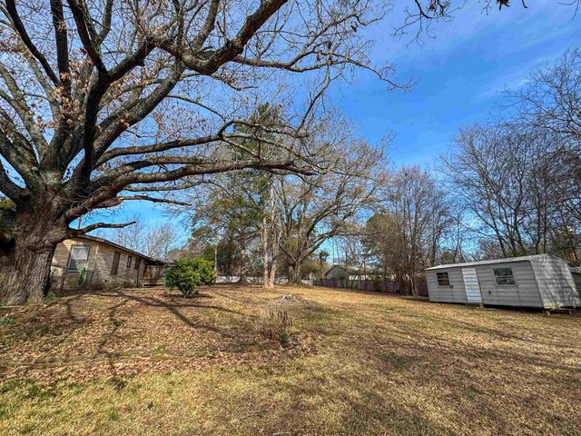 403 Daingerfield Street, Naples, TX 75568