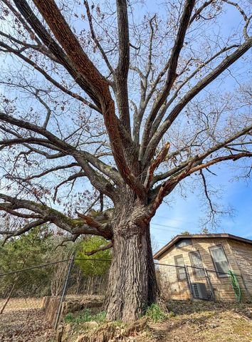 403 Daingerfield Street, Naples, TX 75568