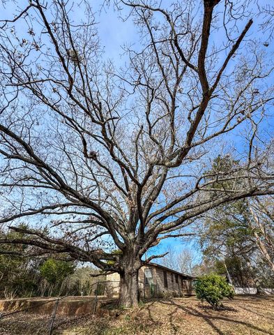 403 Daingerfield Street, Naples, TX 75568