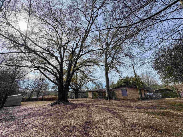 403 Daingerfield Street, Naples, TX 75568