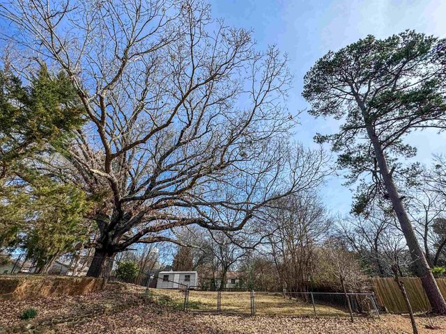 403 Daingerfield Street, Naples, TX 75568