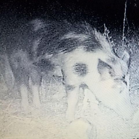 Lot Antioch Cemetery 17.02 Acres Road, Ponce De Leon, FL 32455