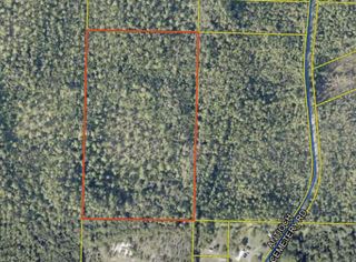 Lot Antioch Cemetery 17.02 Acres Road, Ponce De Leon, FL 32455