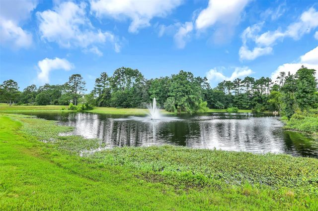 28915 Pine Forest Drive, Magnolia, TX 77355