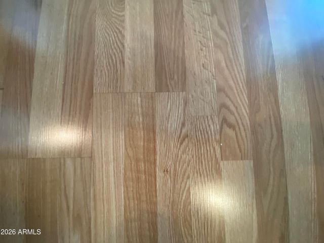 1127 S SHAWNEE Drive, Apache Junction, AZ 85119