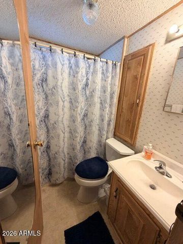 1127 S SHAWNEE Drive, Apache Junction, AZ 85119