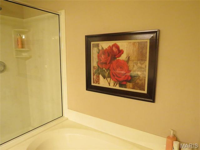 122 Lily Pad Lane, St Peters, MO 63376