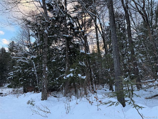 00 Starlight Road, Monticello, NY 12701