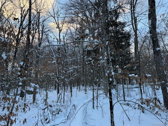 00 Starlight Road, Monticello, NY 12701