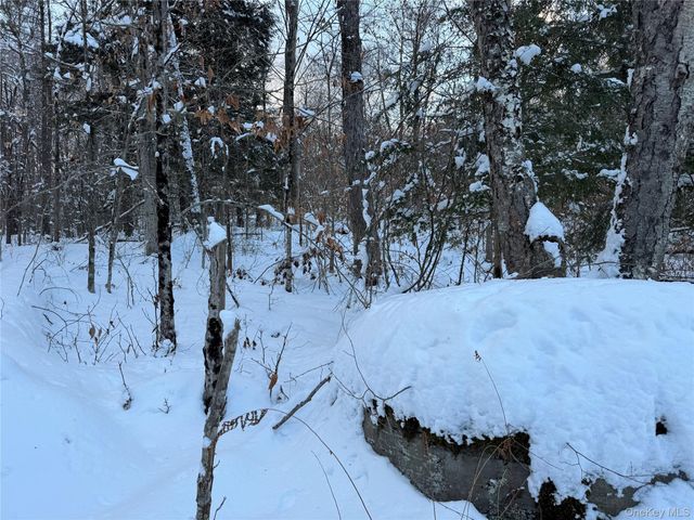 00 Starlight Road, Monticello, NY 12701