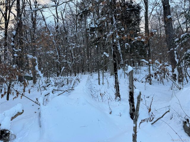 00 Starlight Road, Monticello, NY 12701