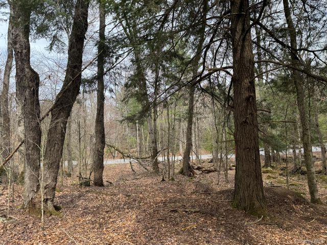 00 Starlight Road, Monticello, NY 12701