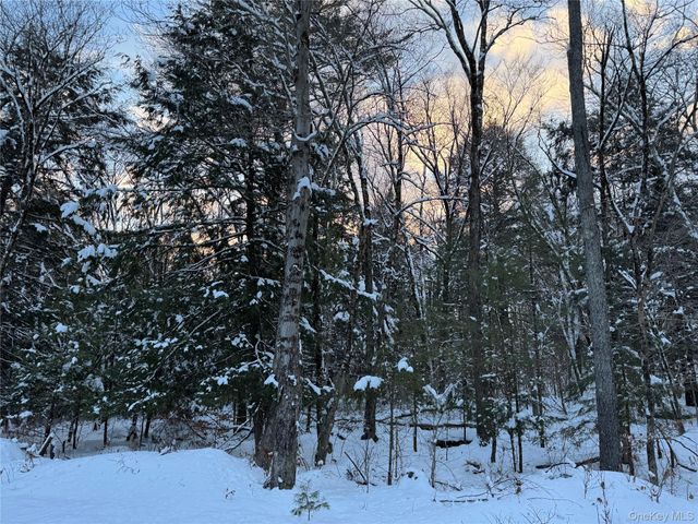 00 Starlight Road, Monticello, NY 12701