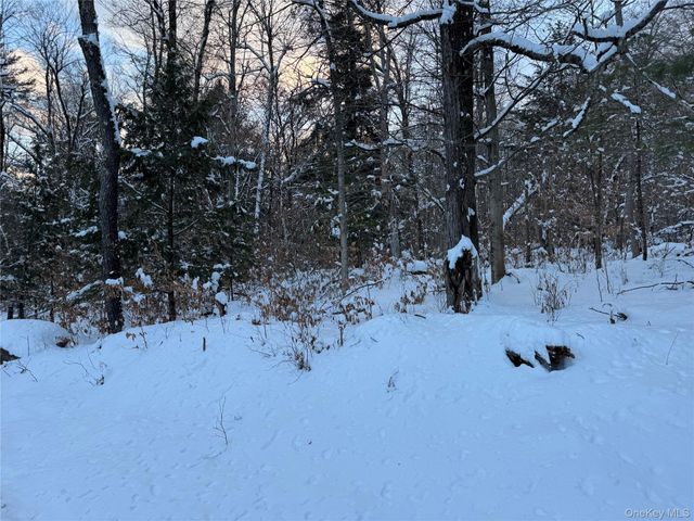 00 Starlight Road, Monticello, NY 12701
