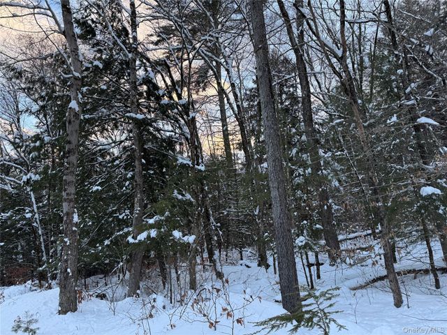 00 Starlight Road, Monticello, NY 12701