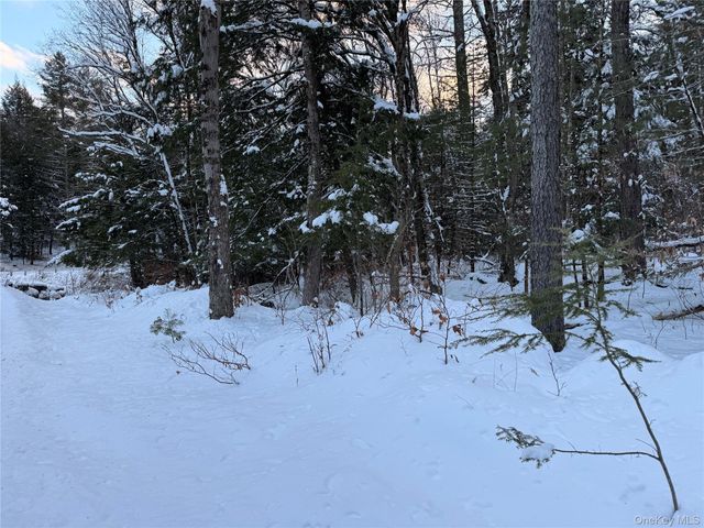 00 Starlight Road, Monticello, NY 12701