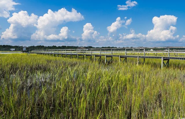 31 Spicebush Ln., Pawleys Island, SC 29585