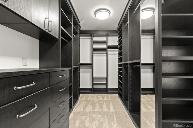 9316 Vista Hill Way, Lone Tree, CO 80124