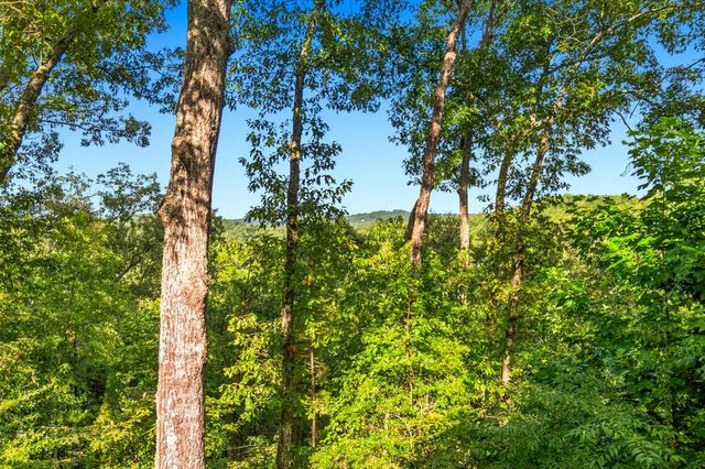 142 Oak Hill Drive, Mineral Bluff, GA 30559