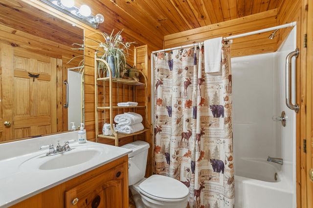 142 Oak Hill Drive, Mineral Bluff, GA 30559