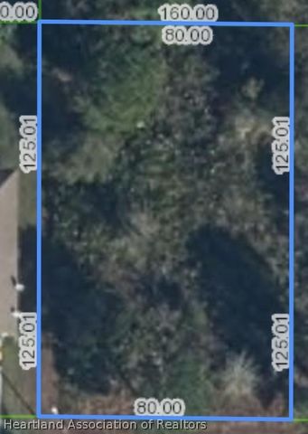 217 PACER Street NW, Lake Placid, FL 33852