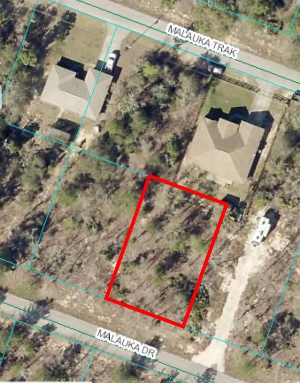 00 MALAUKA DRIVE Lot 8, Ocklawaha, FL 32179