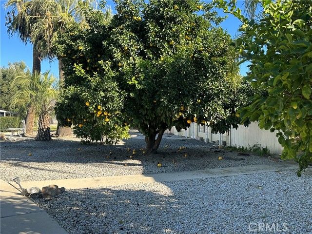 307 Santo, San Jacinto, CA 92583