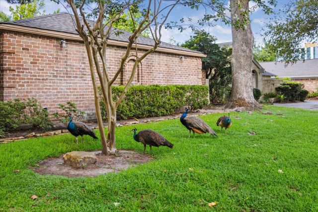 10002 Wickersham Lane, Houston, TX 77042