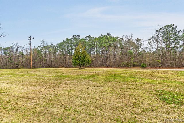 12275 Central Plank Road, Eclectic, AL 36024