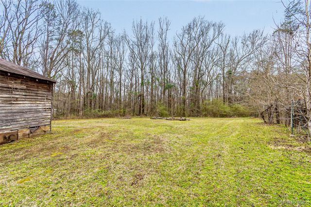 12275 Central Plank Road, Eclectic, AL 36024