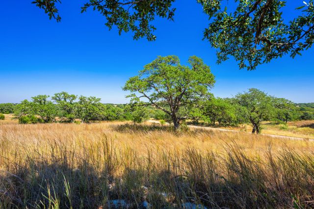 1495 Walnut Springs RD, Johnson City, TX 78636