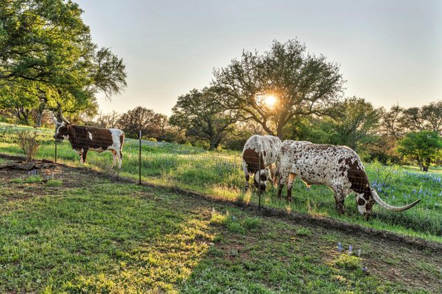 310 The Hills RD, Horseshoe Bay, TX 78657