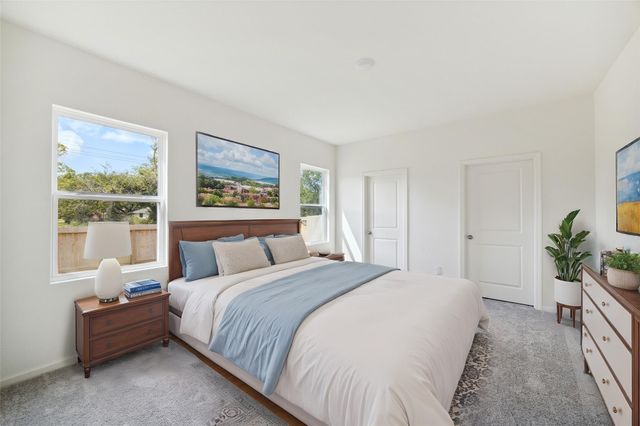 10035 Tiger Flower Lane, Houston, TX 77016