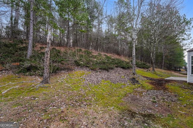 3980 Medlock Park Drive, Snellville, GA 30039