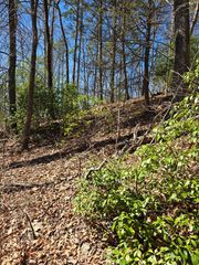 Off Mountain Ridge Road, Blue Ridge, GA 30513