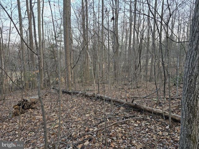 THOROUGHFARE RD, Culpeper, VA 22701