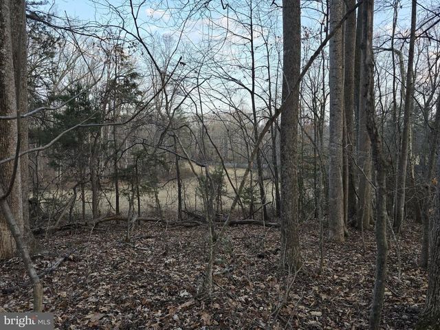 THOROUGHFARE RD, Culpeper, VA 22701