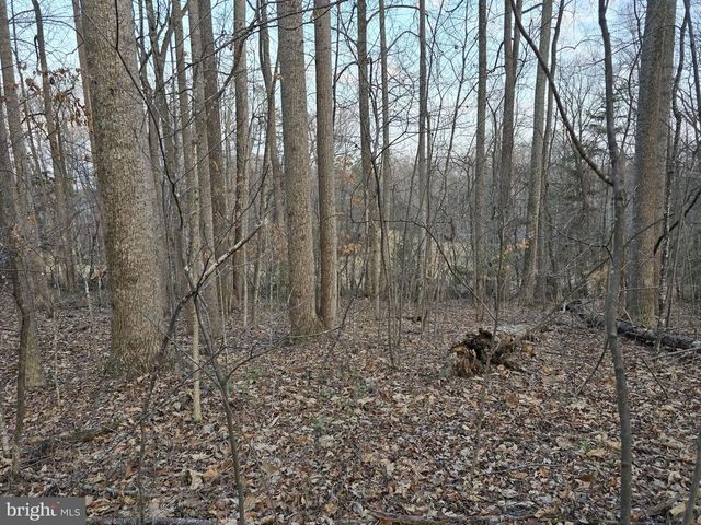 THOROUGHFARE RD, Culpeper, VA 22701