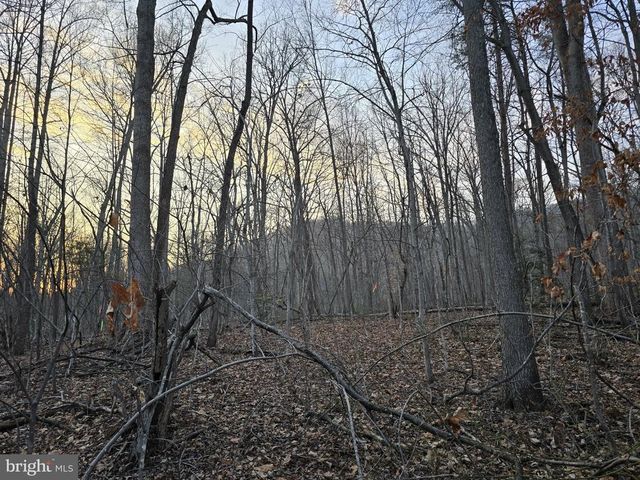 THOROUGHFARE RD, Culpeper, VA 22701