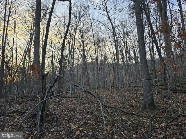 THOROUGHFARE RD, Culpeper, VA 22701