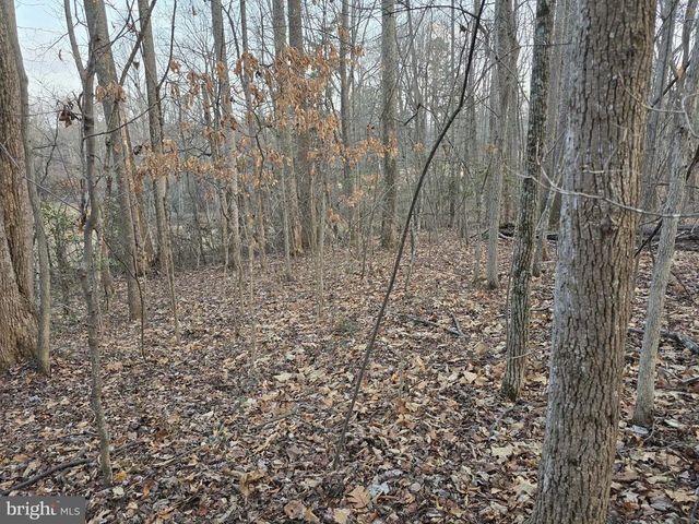 THOROUGHFARE RD, Culpeper, VA 22701