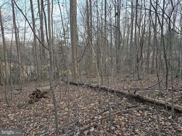 THOROUGHFARE RD, Culpeper, VA 22701