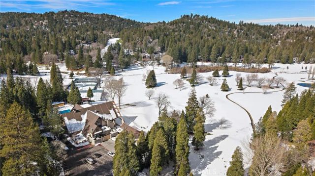 180 Grass Valley, Lake Arrowhead, CA 92352