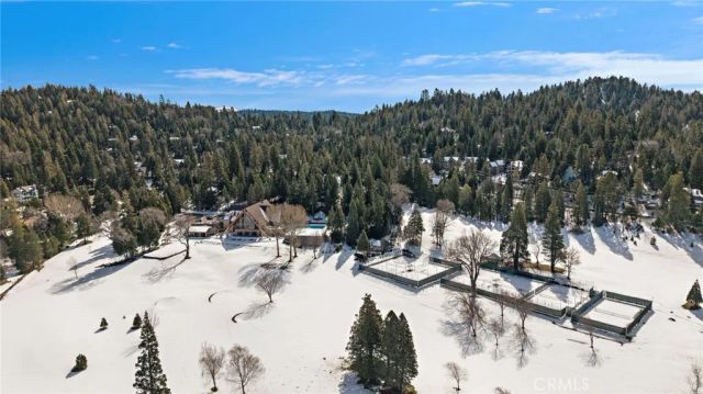 180 Grass Valley, Lake Arrowhead, CA 92352