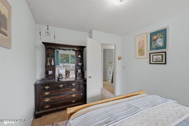 12075 E Chalet Drive, Palmer, AK 99645