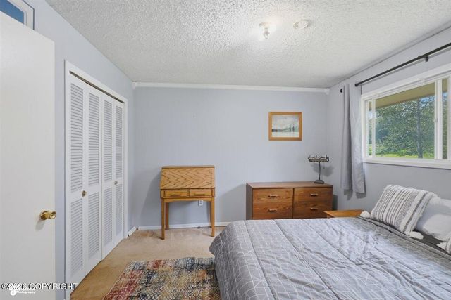 12075 E Chalet Drive, Palmer, AK 99645