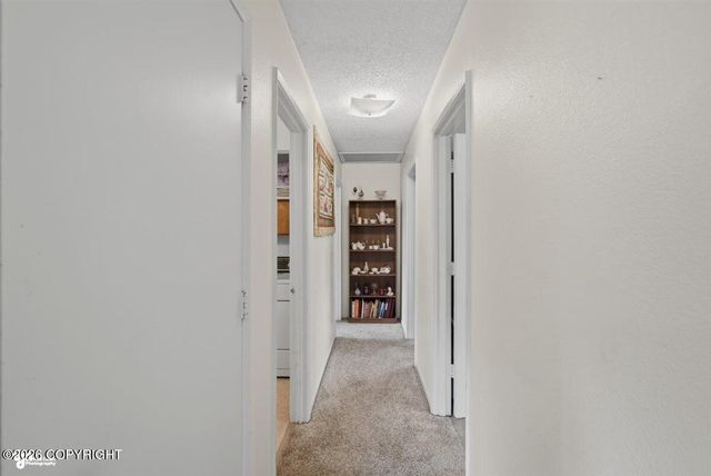 12075 E Chalet Drive, Palmer, AK 99645