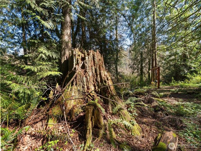 41298 214th Avenue SE, Enumclaw, WA 98022