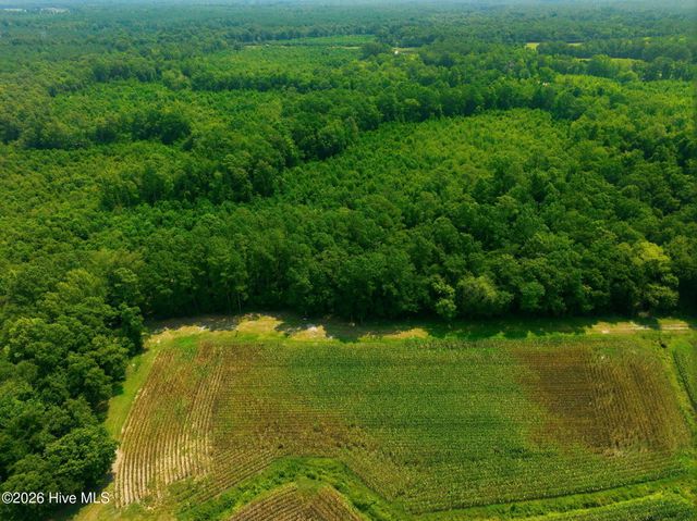 270 Buck Jones Road, Wallace, NC 28466