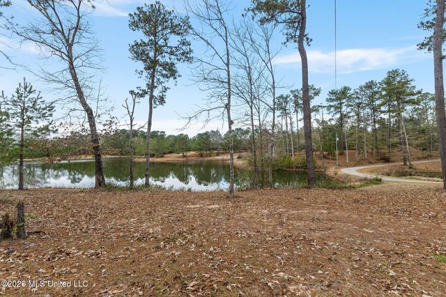 13 Albert Odom Drive, Poplarville, MS 39470